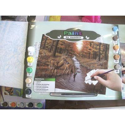 Paint By Numbers
